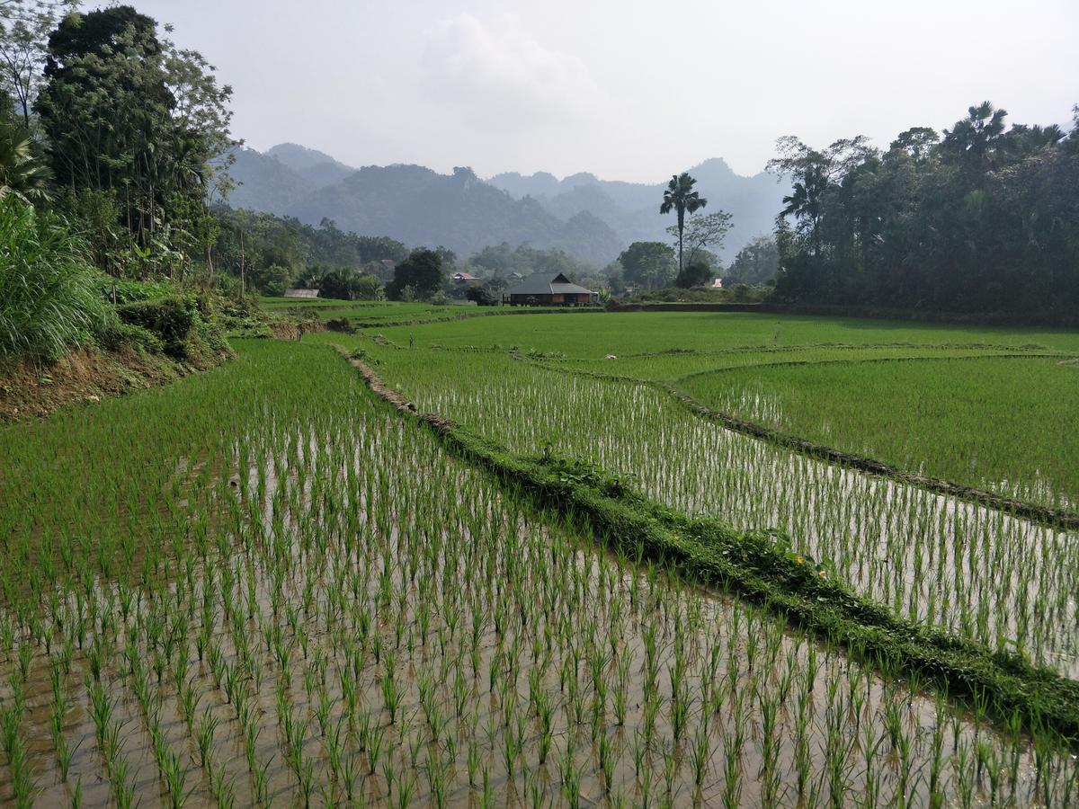 Ngan Ha Homestay Ha Giang Exterior photo